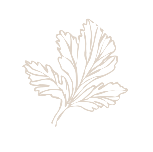 f18 flower image